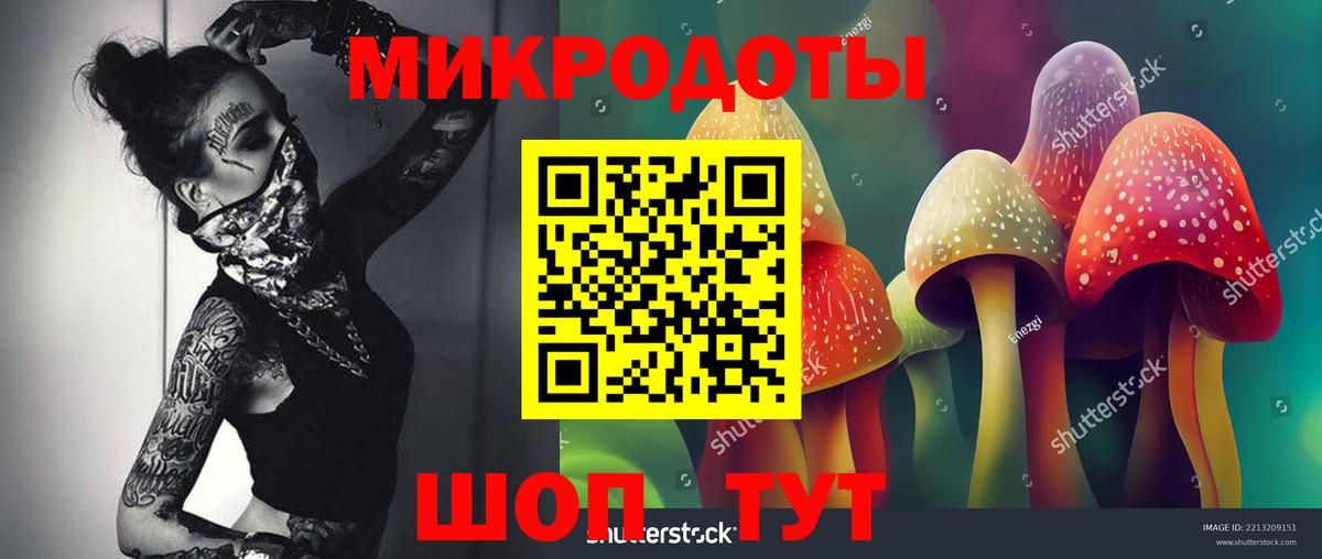 Галлюциногенные грибы мицелий  Псилоцибиновые грибы Psilocybine cubensis  наркотики  Вход с VPN  Нижний Новгород 